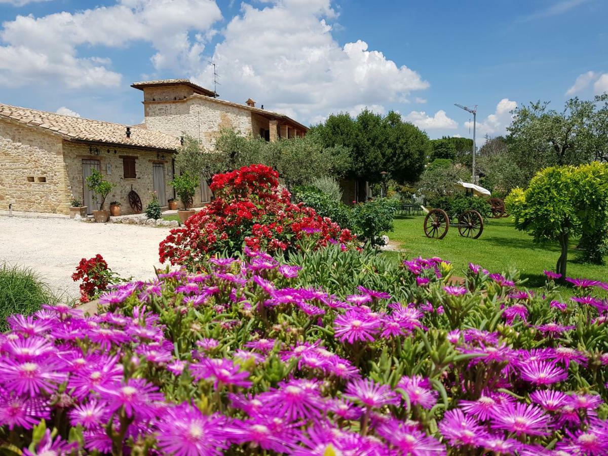 Agriturismo Arcobaleno Della Torretta Giano dellʼUmbria Eksteriør bilde